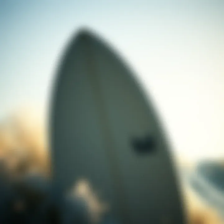 Magnificent An In-Depth Exploration of BZ Foam Surfboards Magnificent An In-Depth Exploration of BZ Foam Surfboards