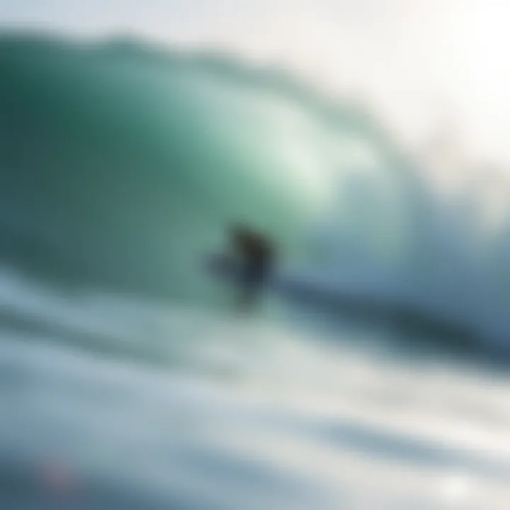 Magnificent Assessing Water Quality at Imperial Beach: An In-Depth Analysis