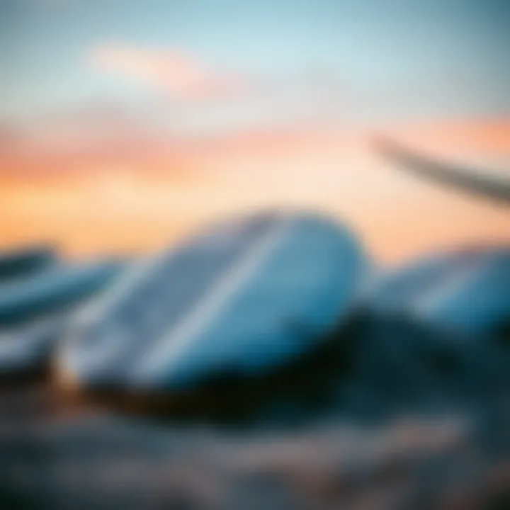 Magnificent Custom Skim Boards: A Comprehensive Exploration Magnificent Custom Skim Boards: A Comprehensive Exploration