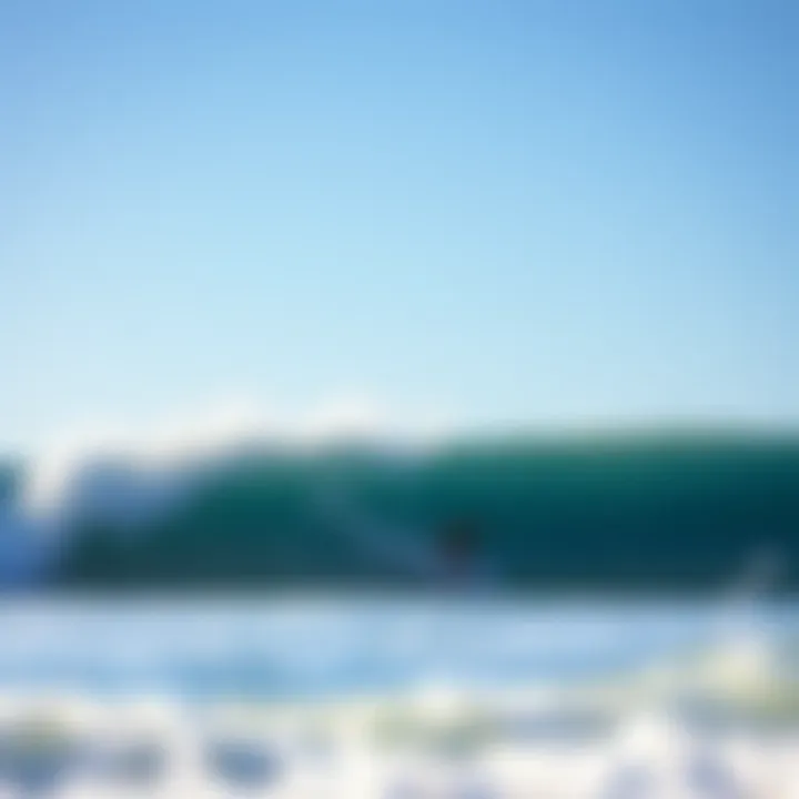 Magnificent Diverse Surfing Styles: A Comprehensive Exploration Magnificent Diverse Surfing Styles: A Comprehensive Exploration