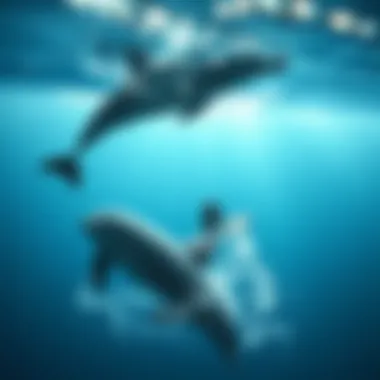 Magnificent Dolphins of the World: An In-Depth Exploration