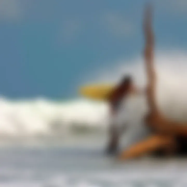 Magnificent Driftwood Surfer Guatemala: A Journey Through Waves and Culture