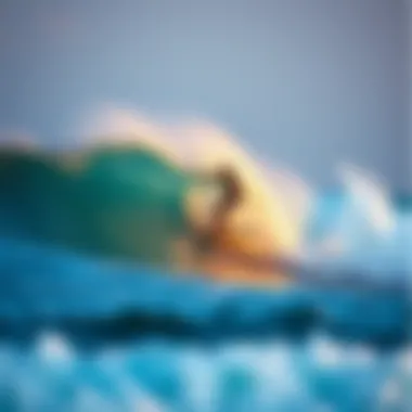 Magnificent Essential Wave Report Applications for Surf Enthusiasts
