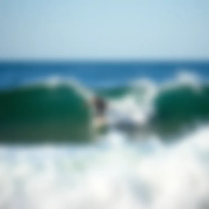 Magnificent Exploring California's Premier Surfing Beaches Magnificent Exploring California's Premier Surfing Beaches
