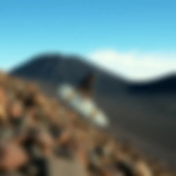 Magnificent Exploring Cerro Negro Volcano Boarding: An Unconventional Adventure Magnificent Exploring Cerro Negro Volcano Boarding: An Unconventional Adventure