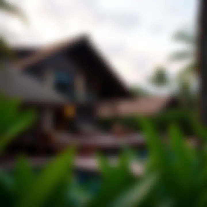 Magnificent Exploring Kalon Surf Hotel: A Premier Surfing Destination in Costa Rica Magnificent Exploring Kalon Surf Hotel: A Premier Surfing Destination in Costa Rica
