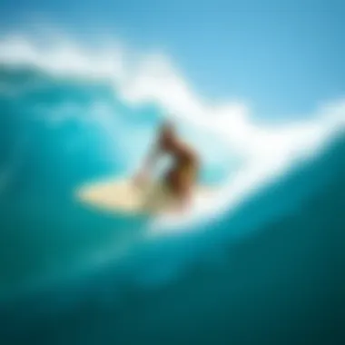 Magnificent Exploring Matador Surfboards: An In-Depth Analysis Magnificent Exploring Matador Surfboards: An In-Depth Analysis