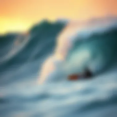 Magnificent Exploring Popular Surf Brands: A Comprehensive Overview Magnificent Exploring Popular Surf Brands: A Comprehensive Overview