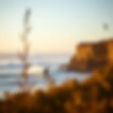 Magnificent Exploring Prime Surf Locations in San Diego Magnificent Exploring Prime Surf Locations in San Diego