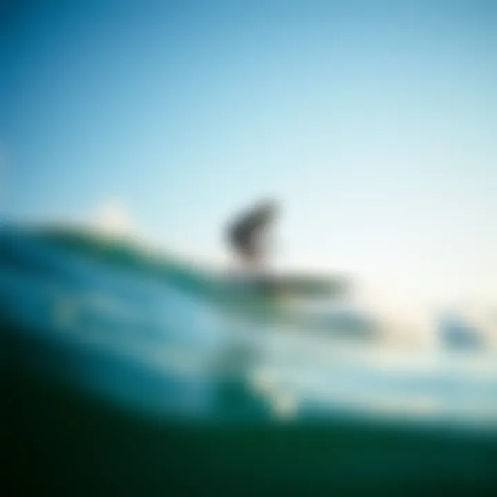 Magnificent Exploring the Buell Soft Top Surfboard: A Comprehensive Analysis Magnificent Exploring the Buell Soft Top Surfboard: A Comprehensive Analysis