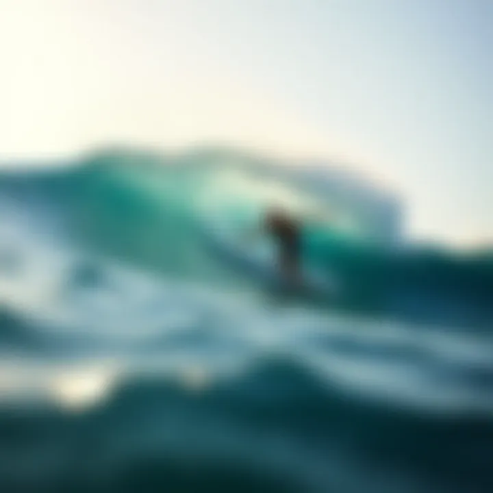 Magnificent Exploring the Dynamics of Longboard Waves