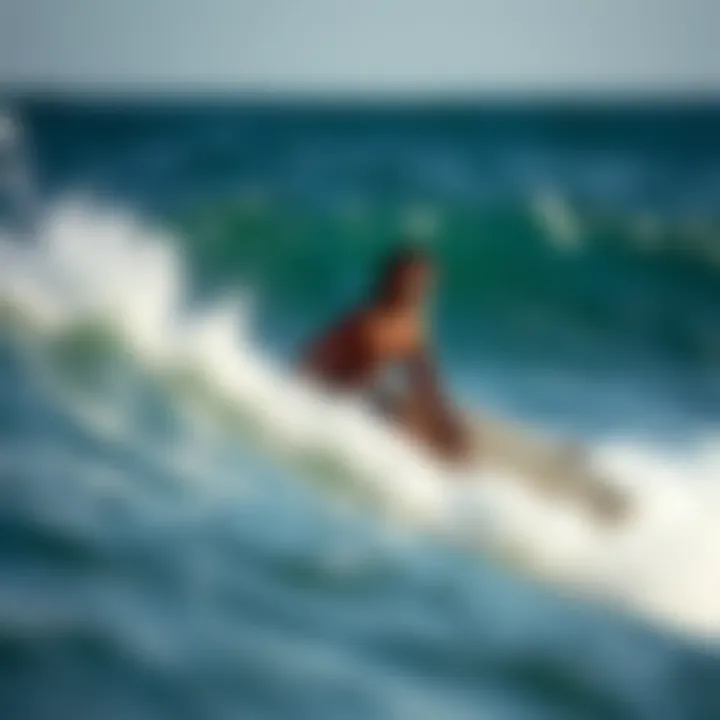 Magnificent Exploring the Surfing Scene in Todos Santos, Mexico Magnificent Exploring the Surfing Scene in Todos Santos, Mexico
