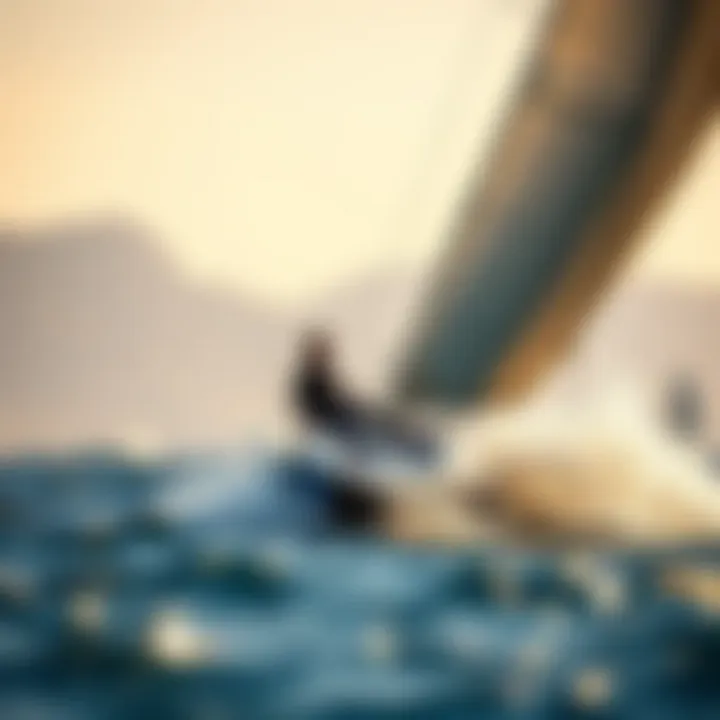Magnificent Exploring the Synergy of Wind, Surf, and Sailing Yachts