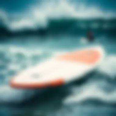 Magnificent High Performance Fish Surfboards: An In-Depth Examination Magnificent High Performance Fish Surfboards: An In-Depth Examination