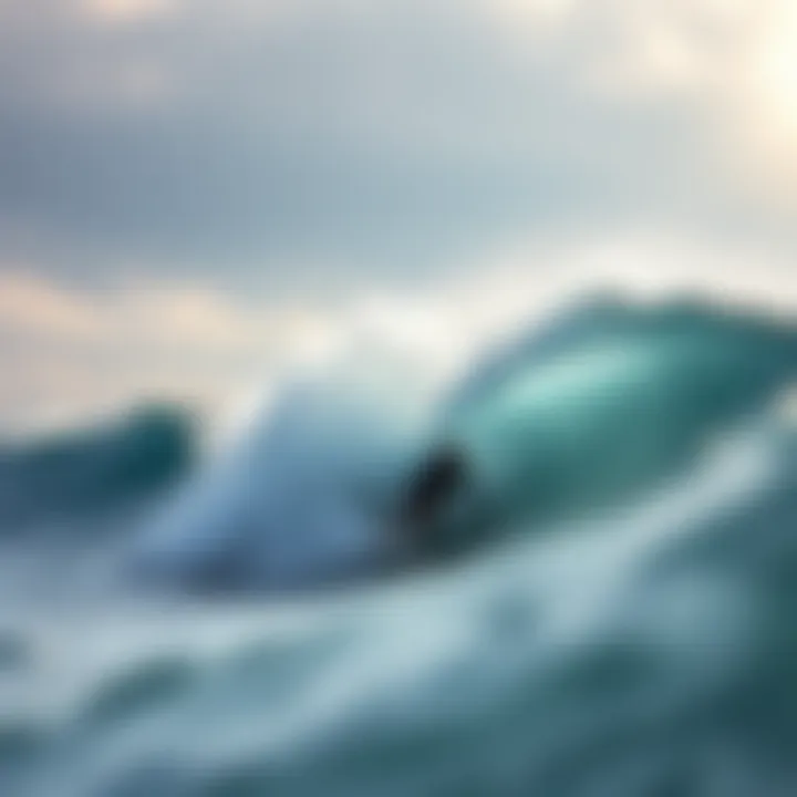 Magnificent Learning to Surf in Costa Rica: A Comprehensive Guide Magnificent Learning to Surf in Costa Rica: A Comprehensive Guide