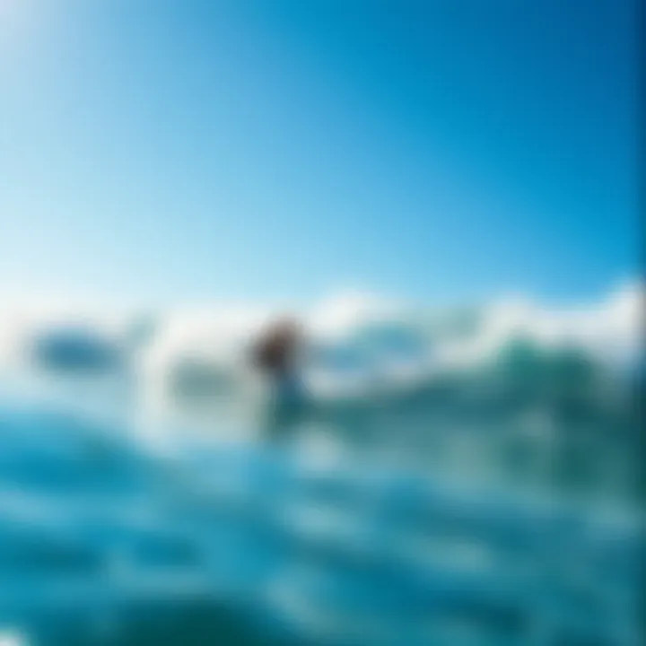 Magnificent Surfing in San Diego for Beginners: A Comprehensive Guide Magnificent Surfing in San Diego for Beginners: A Comprehensive Guide
