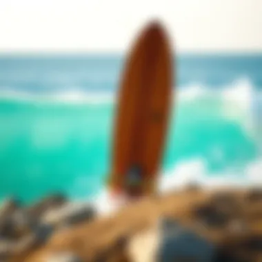 Magnificent The Definitive Guide to Choosing the Best Surf Skateboard Magnificent The Definitive Guide to Choosing the Best Surf Skateboard