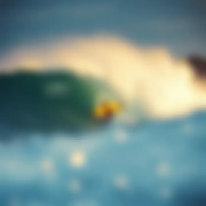 Magnificent The Wave Manifest: Artistic Interpretations in Surf Culture Magnificent The Wave Manifest: Artistic Interpretations in Surf Culture