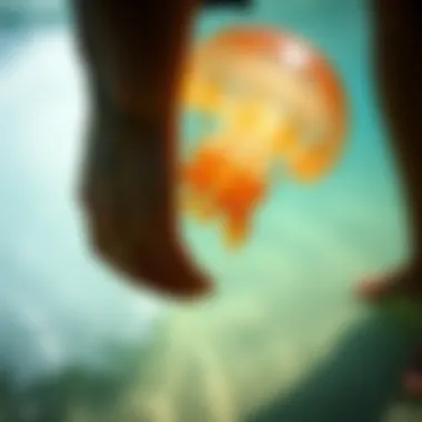 Magnificent Understanding and Treating Jellyfish Stings Magnificent Understanding and Treating Jellyfish Stings