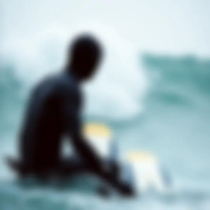 Magnificent Understanding Good Quality Wetsuits: A Guide for Surfing Enthusiasts