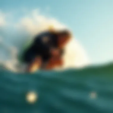 Magnificent Understanding Surf Ears: Protection and Performance Magnificent Understanding Surf Ears: Protection and Performance