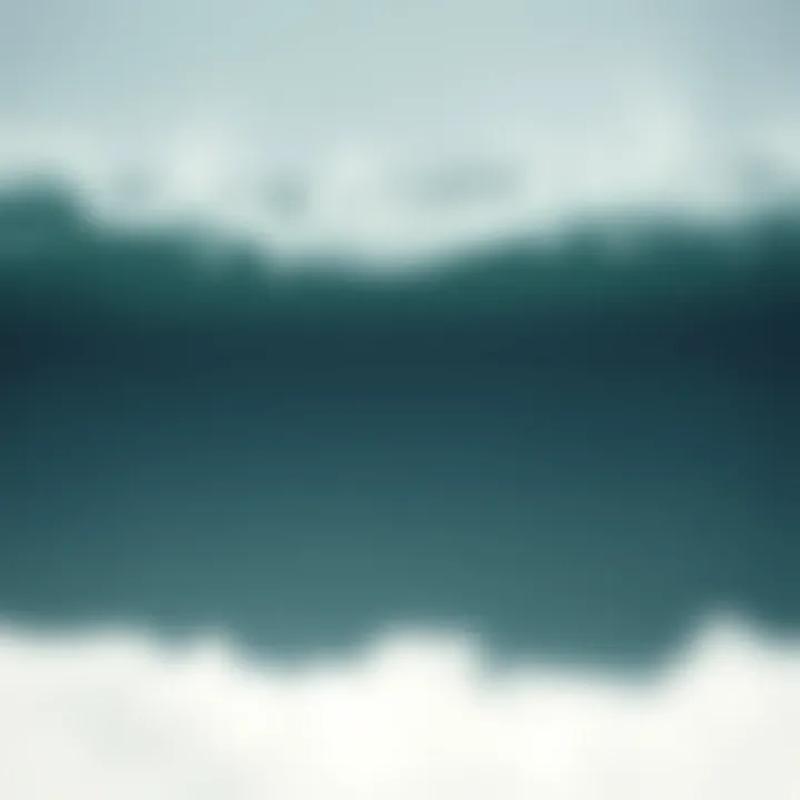 Magnificent Understanding the Sharkbite Depth Chart: A Guide for Surfboard Enthusiasts