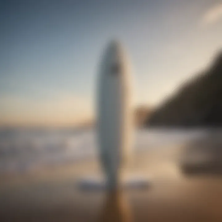 A Comprehensive Analysis of the Arris Surfboard SB 10 Introduction