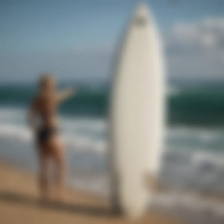 A Comprehensive Analysis of the Arris Surfboard SB 10 Summary