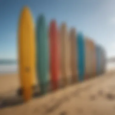 Diverse longboard surfboards lined up on a beach