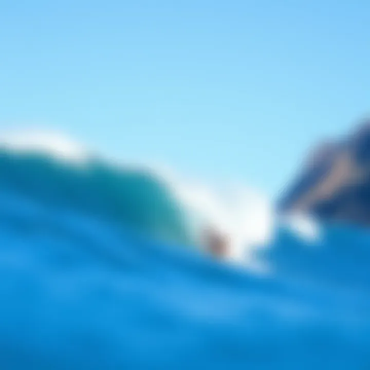 A Comprehensive Guide to Surfing in Oahu, Hawaii Summary A Comprehensive Guide to Surfing in Oahu, Hawaii Summary