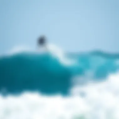 Notable A Comprehensive Reef Size Guide for Surfboard Selection Notable A Comprehensive Reef Size Guide for Surfboard Selection