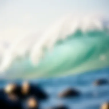 A Comprehensive Reef Size Guide for Surfboard Selection Summary A Comprehensive Reef Size Guide for Surfboard Selection Summary