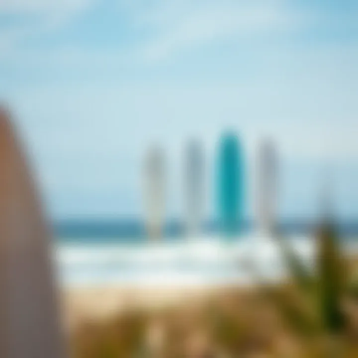 Diagram showing adaptation of surfboards to different surf conditions