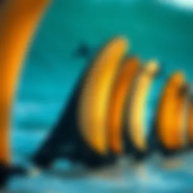 An In-Depth Exploration of Used Surf Fins Summary An In-Depth Exploration of Used Surf Fins Summary