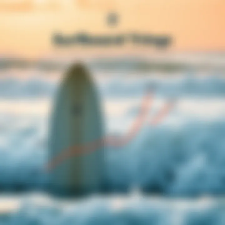 Surfboard Pricing Trends An infographic showing surfboard pricing trends over time