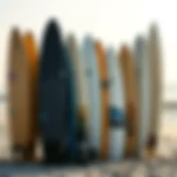 A variety of surfboards displayed on a beach setting