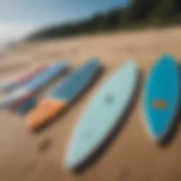 Different paddle board sizes lined up on the beach