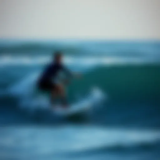 Assessing Water Quality at Imperial Beach: An In-Depth Analysis Introduction