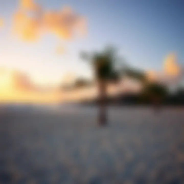 Sunset Serenity at a Barbados Surf Resort A tranquil beach setting at a Barbados surf resort during sunset