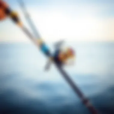 Notable Best Surf Fishing Rod and Reel Combos of 2021: A Comprehensive Overview Notable Best Surf Fishing Rod and Reel Combos of 2021: A Comprehensive Overview