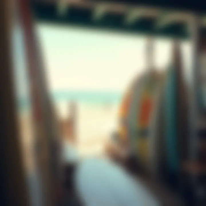 Surfboard Collection Surfboard collection at a local surf shop