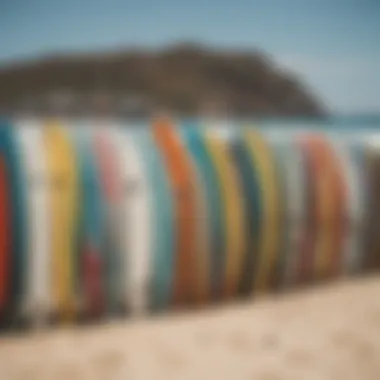 Surfboard collection ready for adventure in Cabo