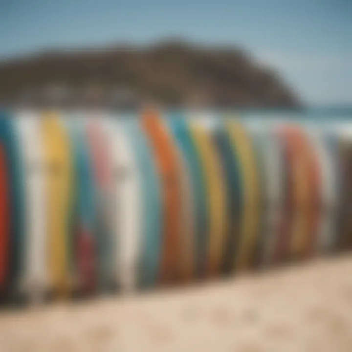 Surfboard collection ready for adventure in Cabo