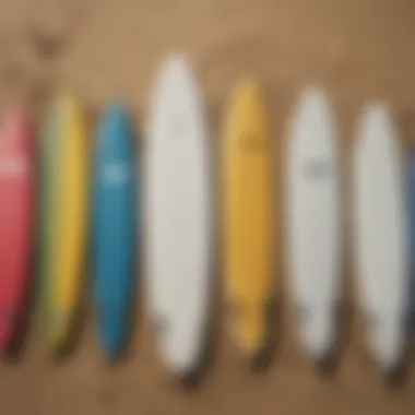 Diverse surfboard types displayed on a beach