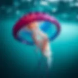 Comprehensive Guide to Managing Jellyfish Stings Introduction