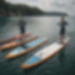 Various types of stand-up paddleboards on display