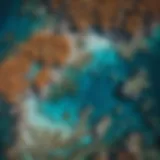 Stunning aerial view of the Great Barrier Reef showcasing its vibrant coral formations