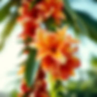 Lais adorned with beautiful tropical blooms, symbolizing aloha