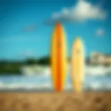 Longboard surfboard size comparison