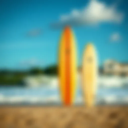 Longboard surfboard size comparison